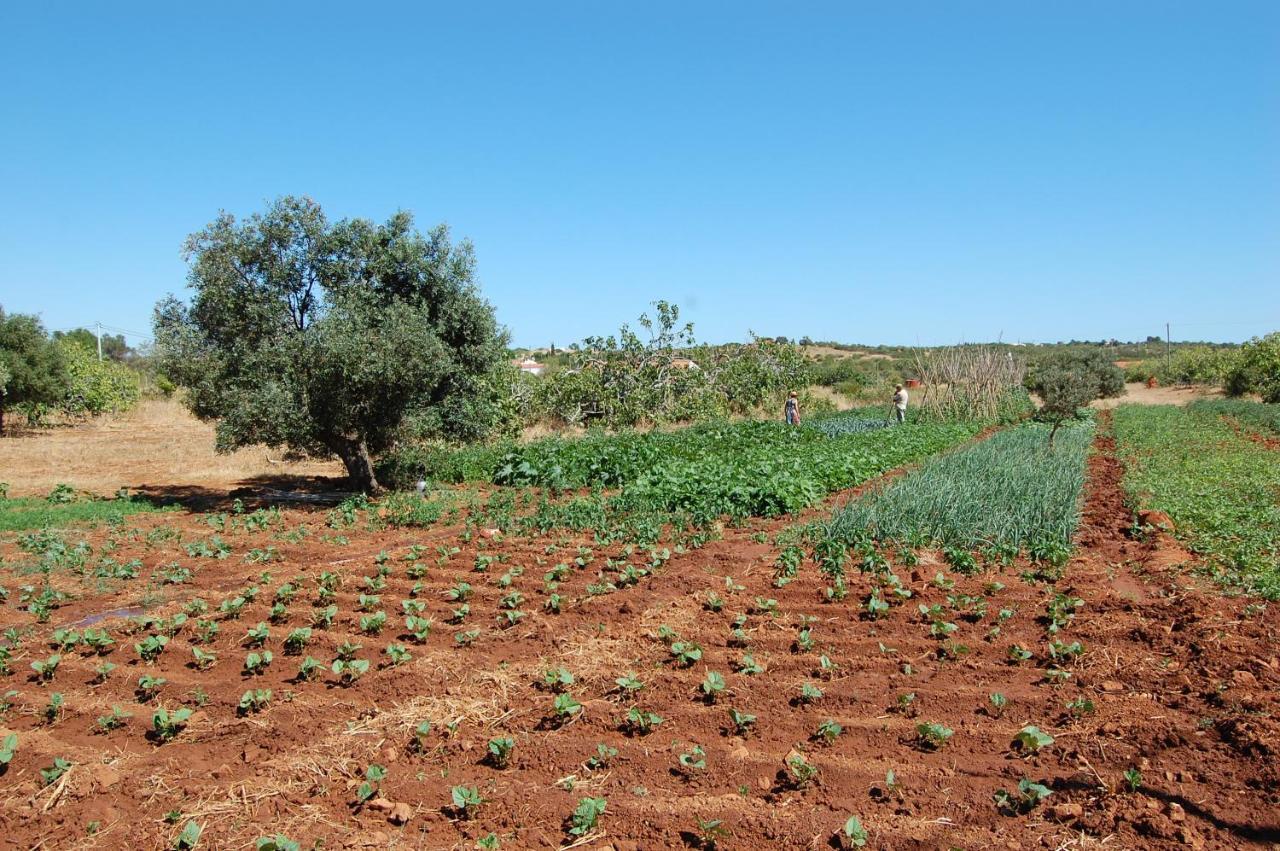Quinta Do Maranhao Villa Lagos Dış mekan fotoğraf